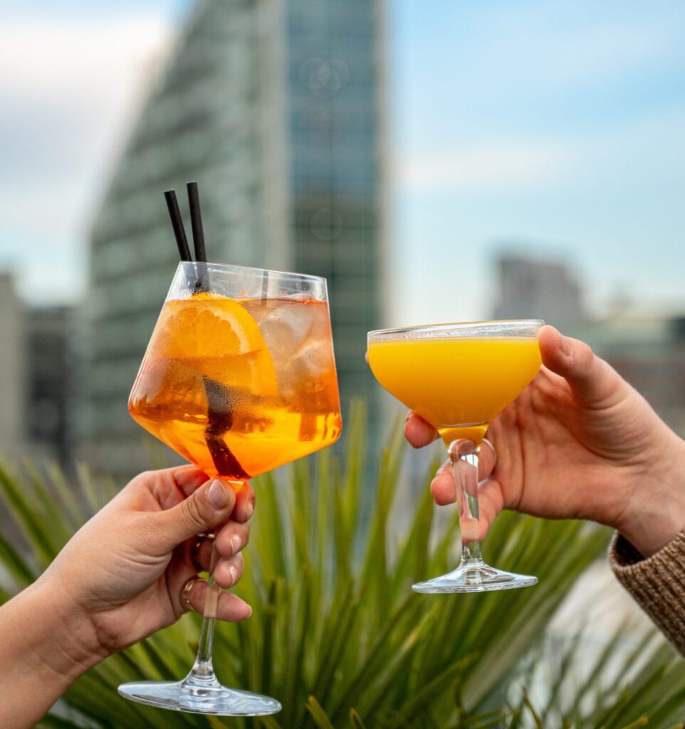 Aviary Rooftop Bar & Restaurant - Finsbury Square | London